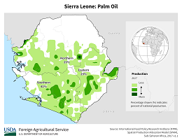 images\SL\cropprod\Sierra_Leon_Oil_Palm_preview.png